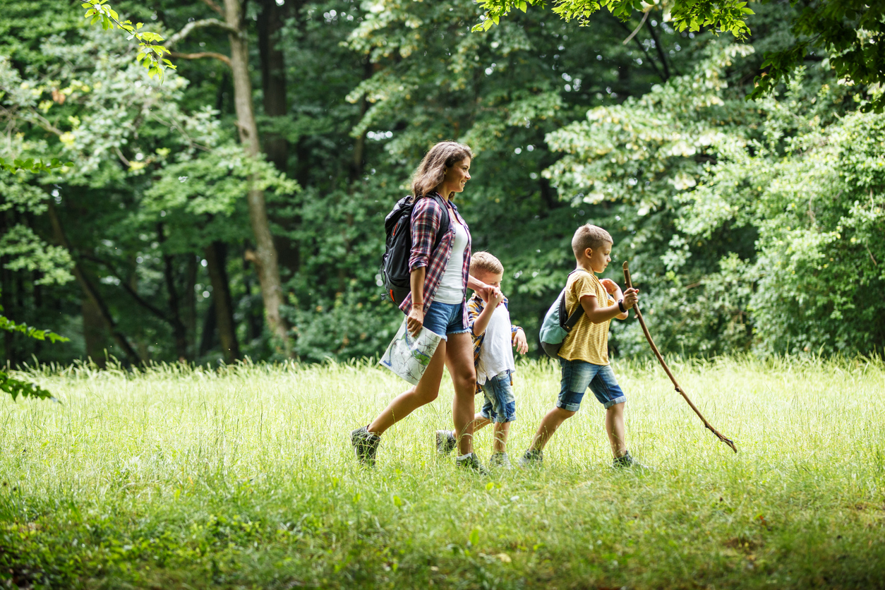 mutter mit zwei söhnen im wald